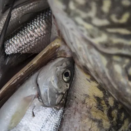 Landgasthof & Restaurant Batzenhaeusl 3*