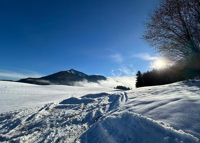Landgasthof & Restaurant Batzenhausl Отель типа 